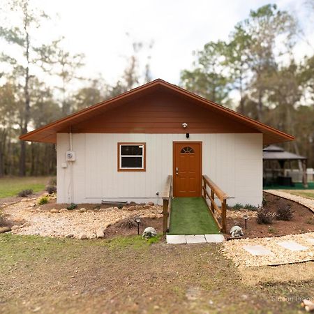 3/2 Uf Wooded Paradise Retreat Gainesville Exteriör bild