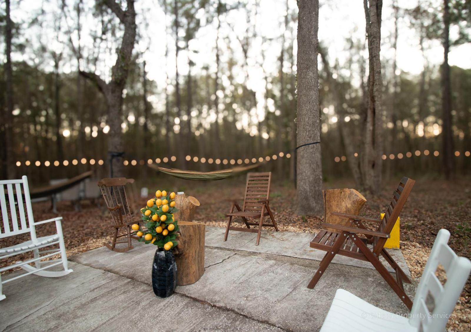 3/2 Uf Wooded Paradise Retreat Gainesville Exteriör bild