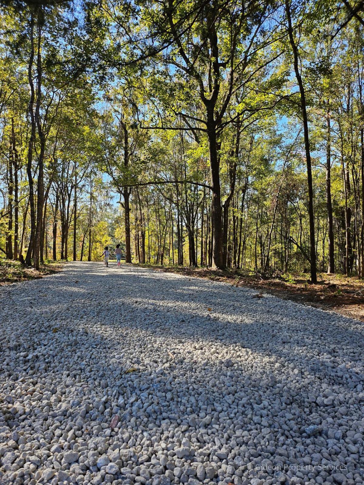 3/2 Uf Wooded Paradise Retreat Gainesville Exteriör bild