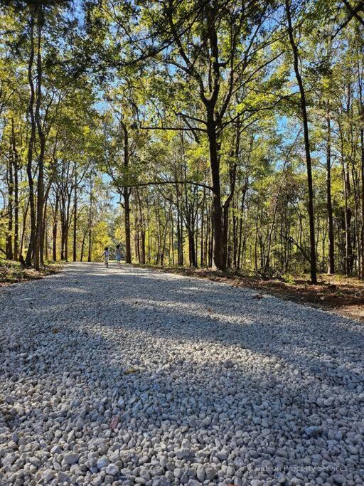 3/2 Uf Wooded Paradise Retreat Gainesville Exteriör bild
